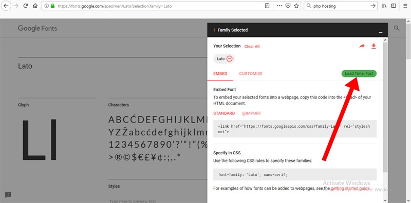Choose only the fast downloading font Google font