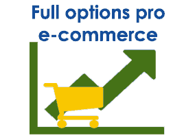 Professional e-commerce website